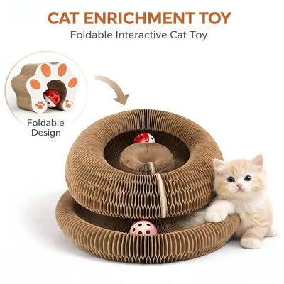 Why a Foldable Accordion Cat Scratcher Is the Smarter Choice for Busy Cat Owners