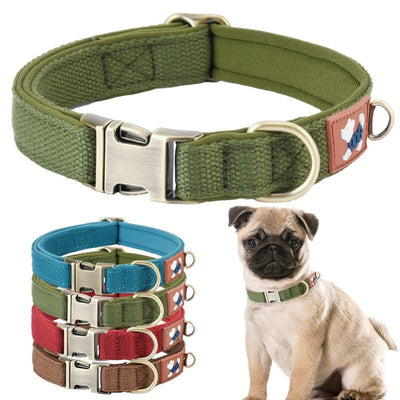 Why a Padded Dog Collar Makes Every Walk More Comfortable for Your Dog
