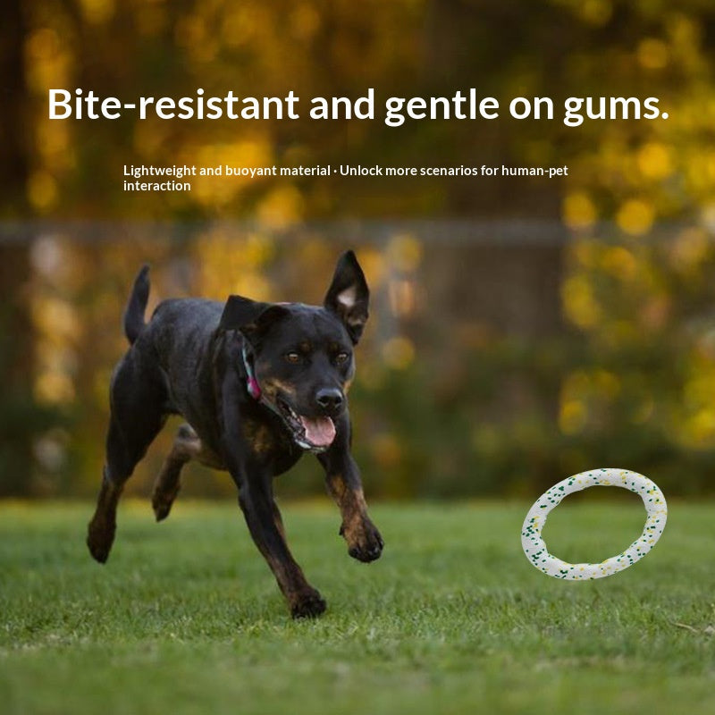 Dog Pull Ring Toy: Why Every Energetic Dog Needs One