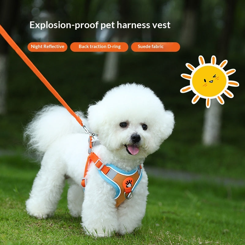 How to Choose the Right Cat Harness for Safe, Comfortable Outdoor Walks