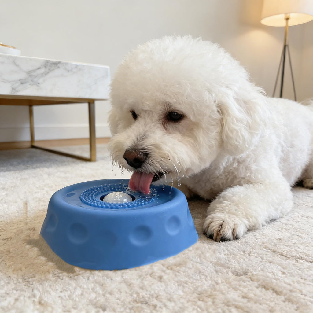 Light blue dog slow feeder lick bowl with rolling ball insert, shown from above on a white background