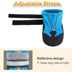 Water-resistant non-slip dog boots shown on a medium to large dog, providing paw protection outdoors
