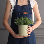 Colorful cylinder ceramic succulent planter with drainage hole, shown in a Nordic-inspired minimalist style