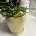 Close-up of a 6 inch round beige ceramic planter showing the natural variation and texture of the reactive glaze finish.