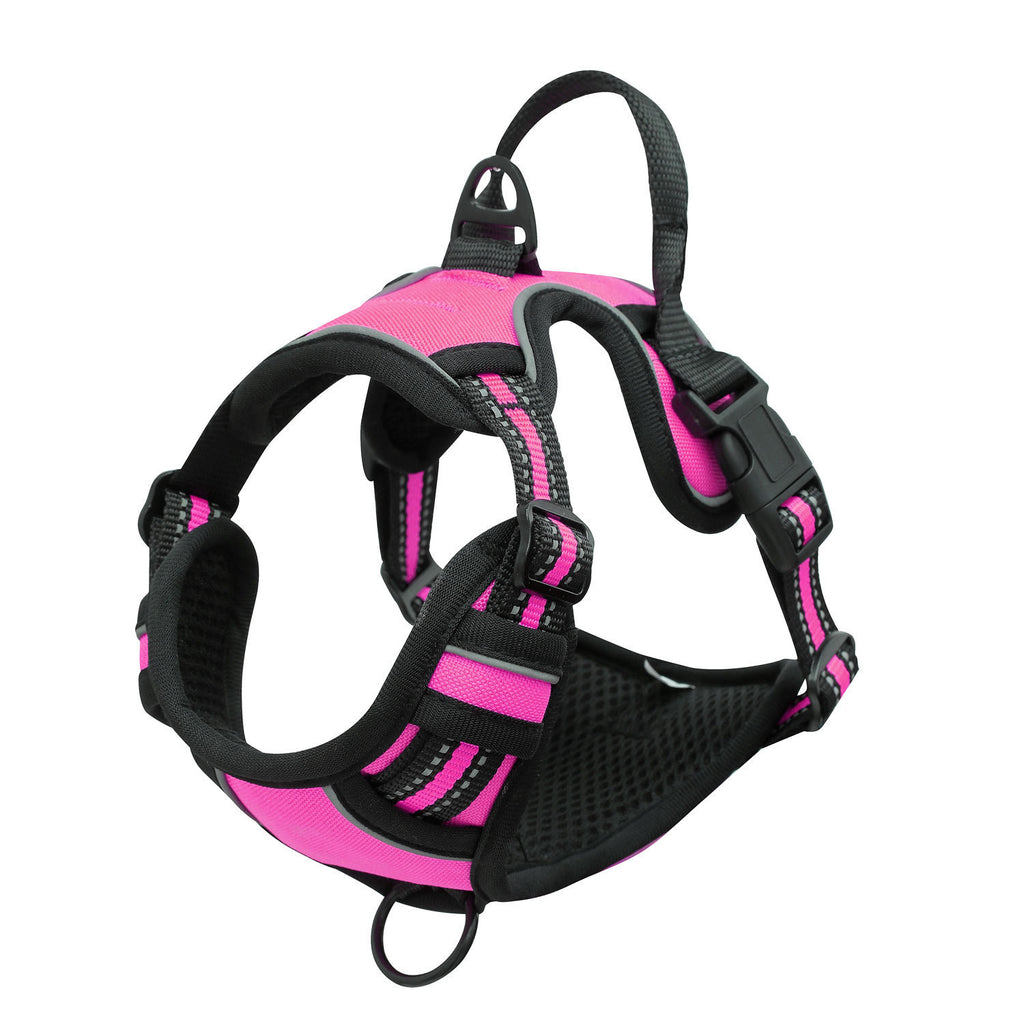 Reflective dog vest harness with chest-strap leash, showing secure fit and breathable mesh fabric detail