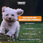 Glucosamine chondroitin and MSM joint supplement bottle for dogs and cats on a clean white background