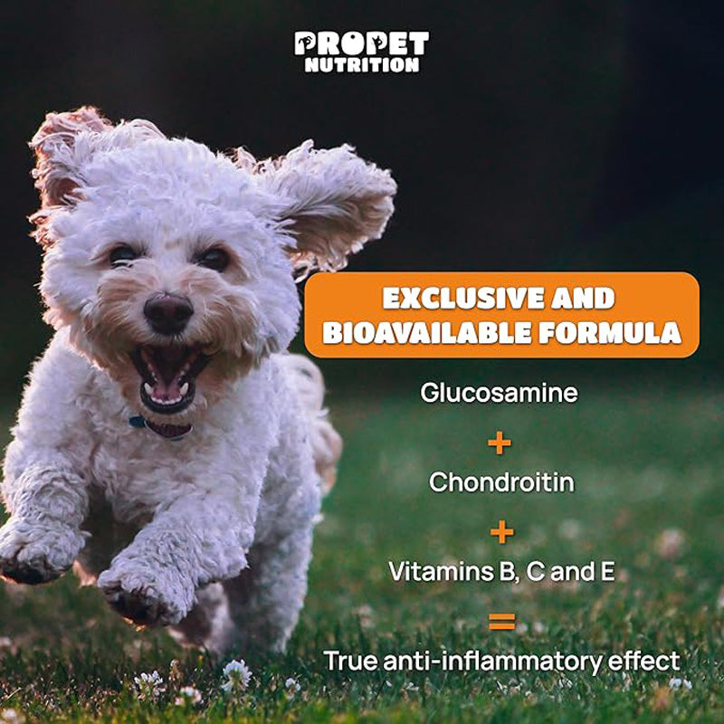 Glucosamine chondroitin and MSM joint supplement bottle for dogs and cats on a clean white background