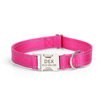 Adjustable nylon dog collar with reflective stitching shown in close-up detail, highlighting durable buckle and secure fit