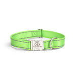 Adjustable nylon reflective dog collar shown from the side, highlighting durable stitching and buckle closure