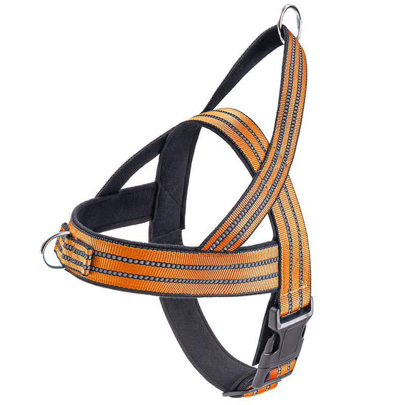 Close-up of adjustable tactical dog vest harness showing sturdy buckles and no-pull attachment points on a medium-sized dog
