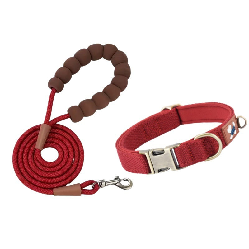 Padded dog collar shown from a close-up angle highlighting the soft cushioned lining and durable hardware