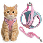 Gray cat wearing a secure step-in cat harness with leash attached, shown from the side