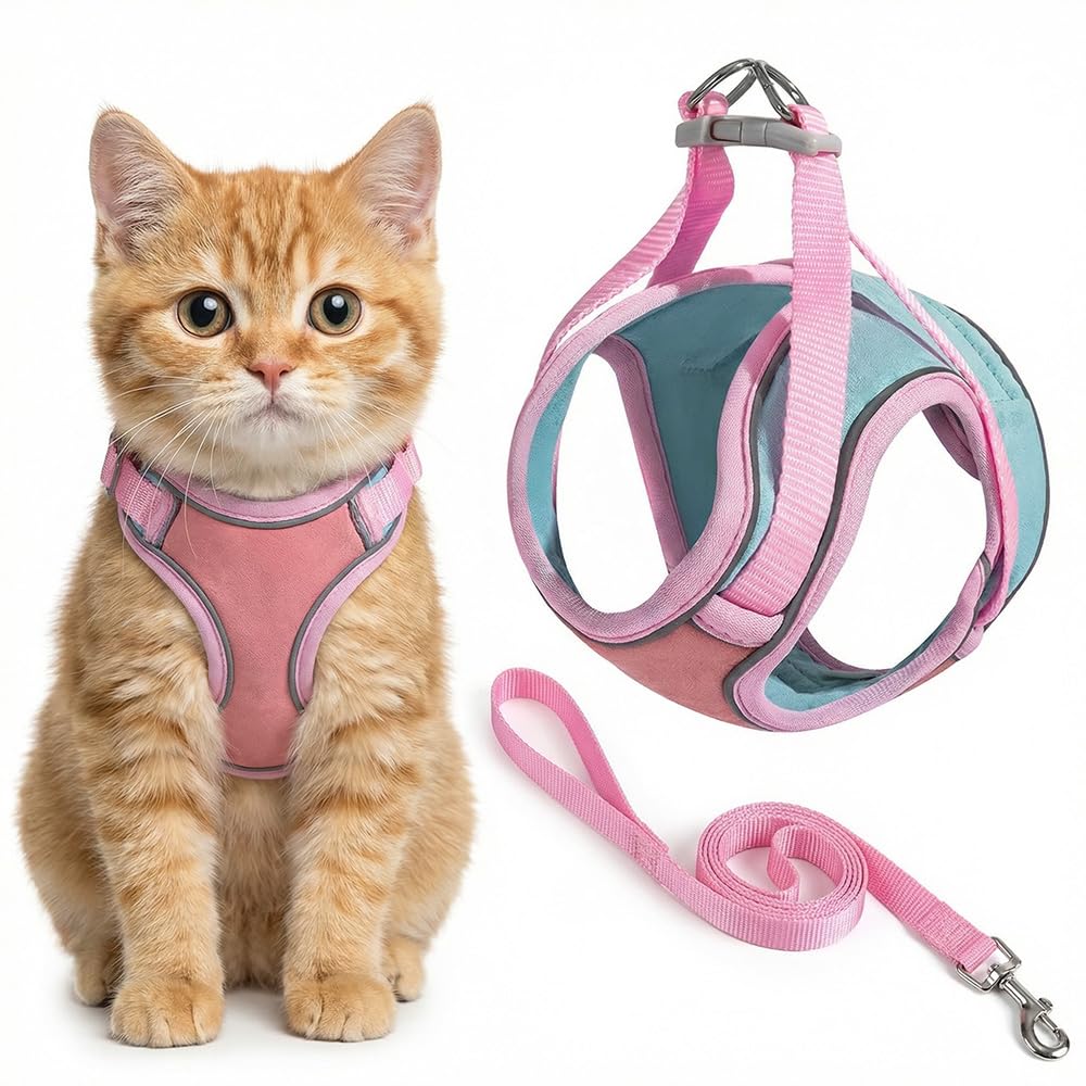 Gray cat wearing a secure step-in cat harness with leash attached, shown from the side