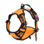 Reflective nylon pet harness and leash set shown from the side, highlighting secure buckle closures and reflective stitching
