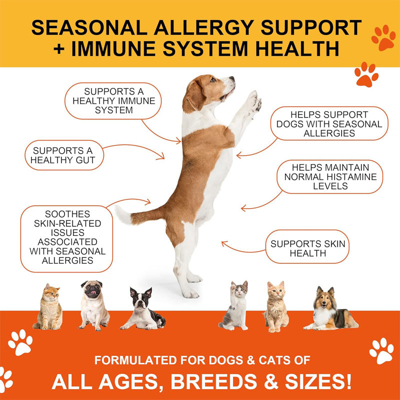Joint supplement chews for dogs and cats with glucosamine, chondroitin, and MSM shown in product packaging