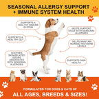 Joint supplement chews for dogs and cats with glucosamine, chondroitin, and MSM shown in product packaging