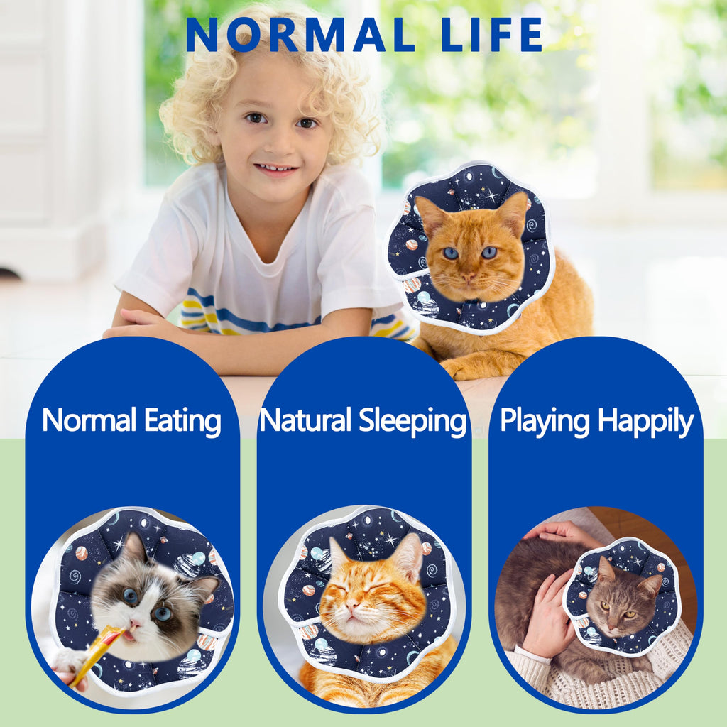 Soft adjustable Elizabethan cone collar on a cat, showing comfortable padded edge and secure neck fit