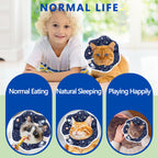 Soft adjustable Elizabethan cone collar on a cat, showing comfortable padded edge and secure neck fit