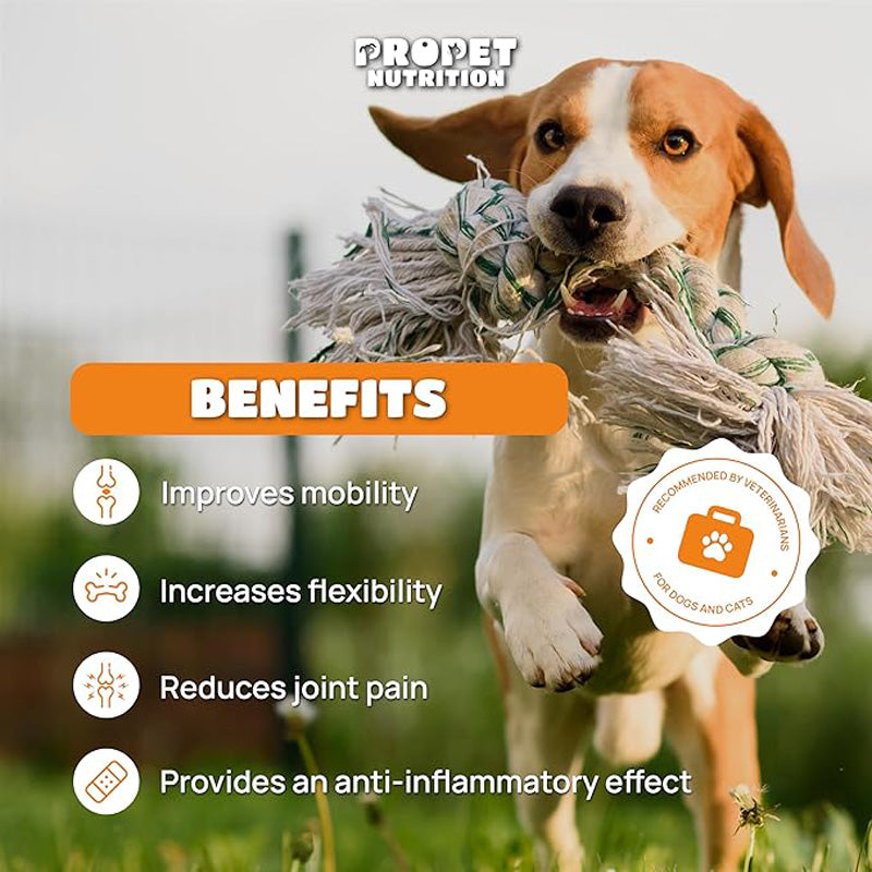 Joint supplement chewable tablets for dogs and cats with glucosamine, chondroitin, and MSM shown in product packaging