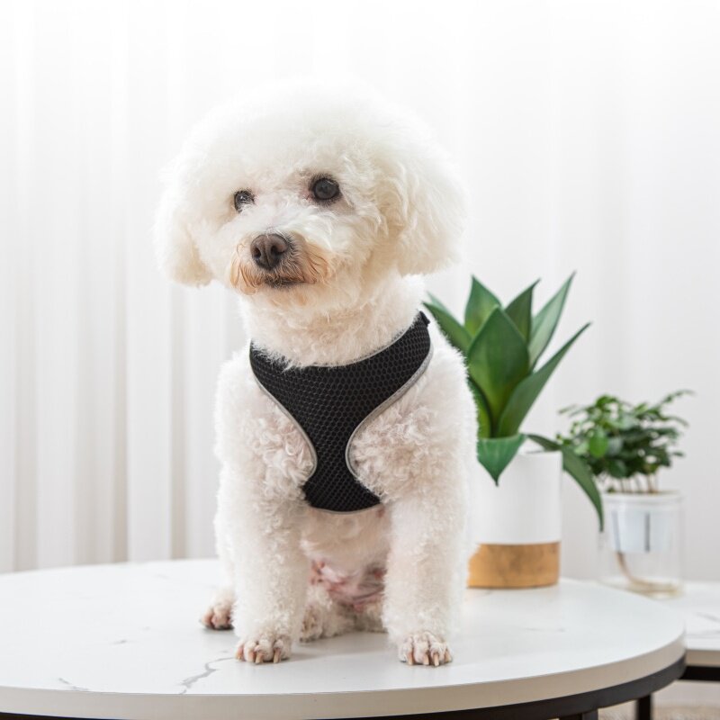 Adjustable dog and cat vest harness with matching leash set in a soft fabric design for small pets