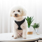 Adjustable dog and cat vest harness with matching leash set in a soft fabric design for small pets