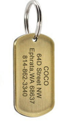 Round silver engraved pet ID tag with custom text, shown close up to display engraving detail