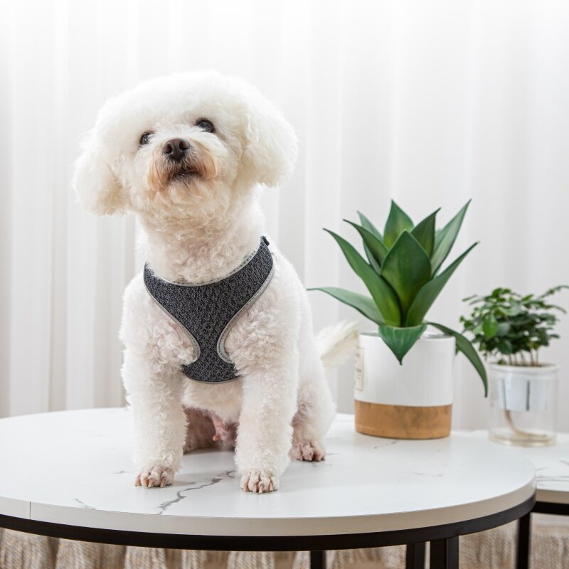Adjustable pet vest harness shown with matching leash set, suitable for small dogs and cats