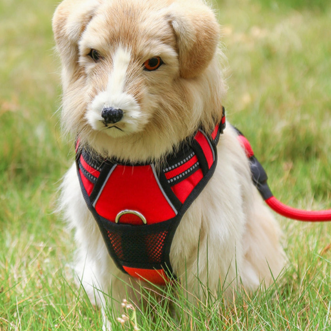 Reflective nylon pet harness and leash set with escape-proof design for secure dog walks