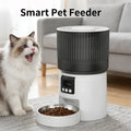 Automatic pet feeder with built-in camera and app control for timed, quantitative feeding