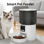 Automatic pet feeder with built-in camera and app control for timed, quantitative feeding