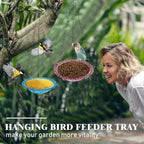 Hanging bird bath and feeder bowl suspended outdoors, ideal for attracting birds to a garden or yard