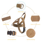 Close-up of adjustable straps and buckles on a tactical dog vest harness showing secure no-pull fit details