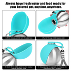 Stainless steel portable dog water bottle with attached bowl, 10oz travel size for pets on the go