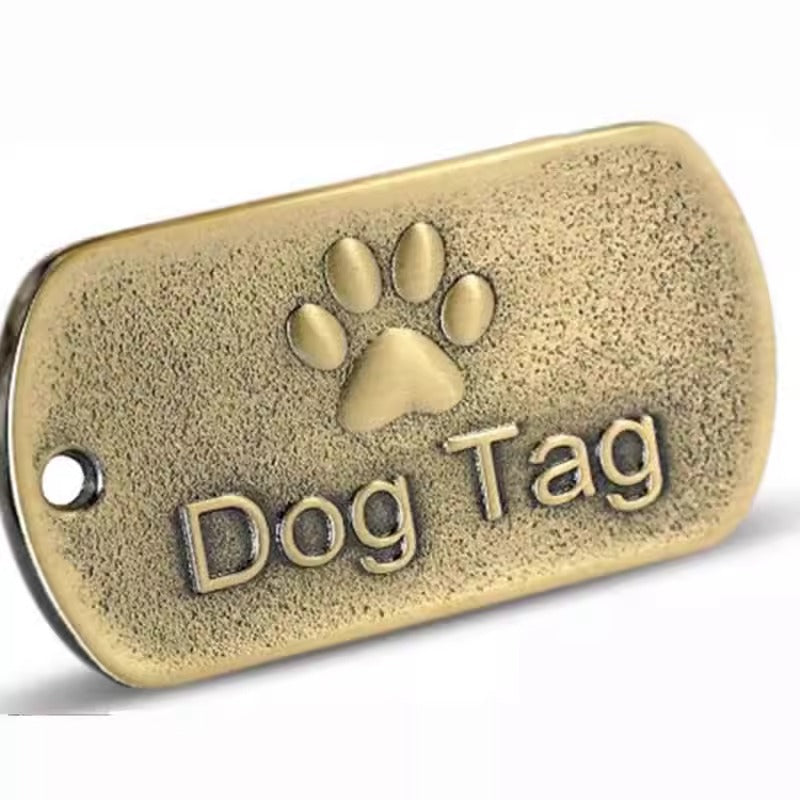 Round silver engraved pet ID tag with custom text, shown close up to display engraving detail