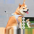 Reflective Y-shape dog harness and leash set in breathable vest style shown on a small dog