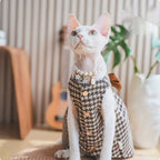 Sphynx cat wearing a soft knit bow dress in a cozy cat costume for hairless breeds