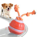 Motion-activated interactive dog ball toy emitting squeaky birdsong sounds, shown in detail to highlight its engaging design 