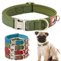 Padded dog collar with soft cushioned lining for comfort, shown in a neutral tone suitable for everyday wear