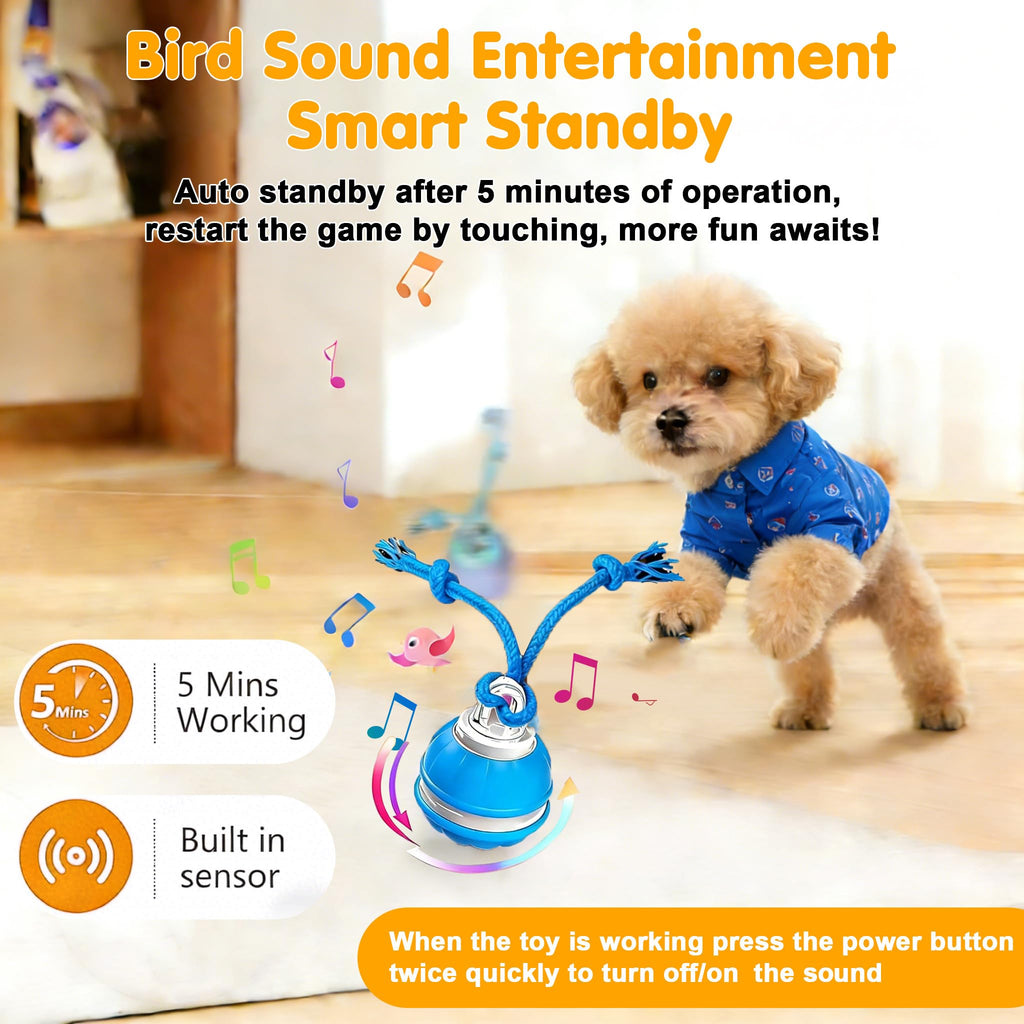 Motion-activated interactive dog ball toy emitting birdsong sounds, designed to engage and entertain curious dogs during play