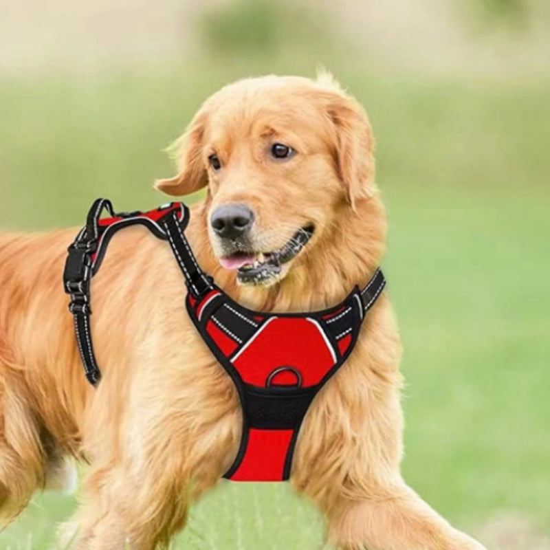 Reflective breathable dog vest harness with chest-strap leash, shown in a lightweight mesh design for secure outdoor walks