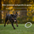 Colorful dog pull ring toy for interactive tug-of-play with pets