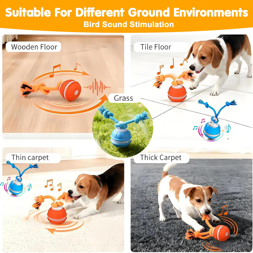 Motion-activated interactive dog ball toy emitting squeaky birdsong sounds, shown in detail to highlight texture and design
