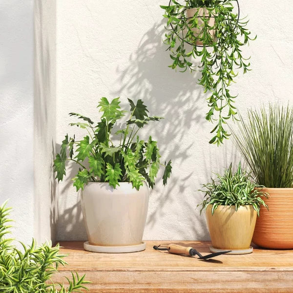 6-inch round beige ceramic planter with a mottled reactive glaze finish, shown from a slight angle to highlight texture