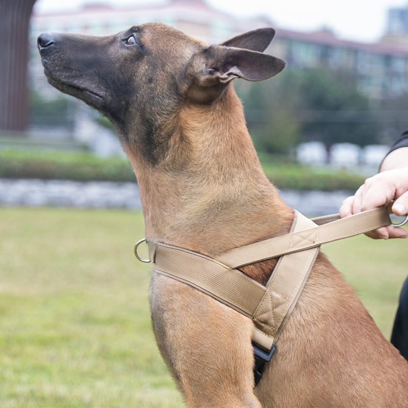 Tactical dog vest harness and collar with adjustable straps, shown in a durable military-style design for secure no-pull walk