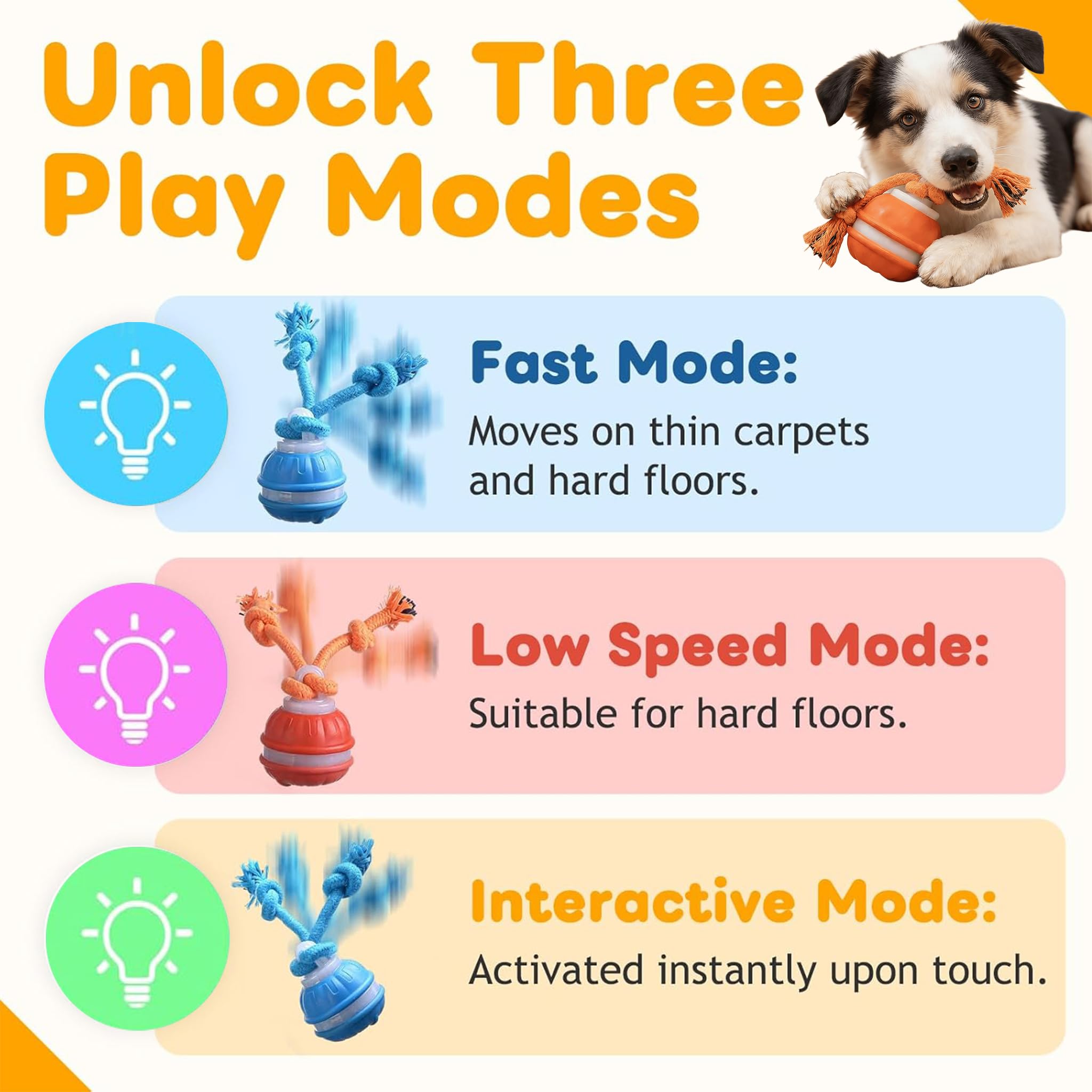 Colorful motion-activated dog ball toy with squeaky birdsong feature, shown from a close-up angle