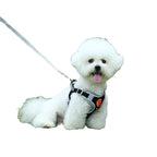 Breathable high-leg cat harness and leash set with Bichon Frise print, shown in a flat lay view