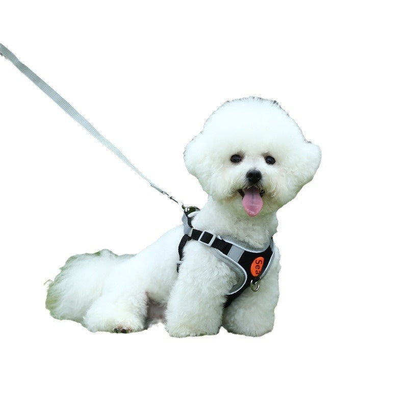 Breathable high-leg cat harness and leash set with Bichon Frise print, shown in a flat lay view