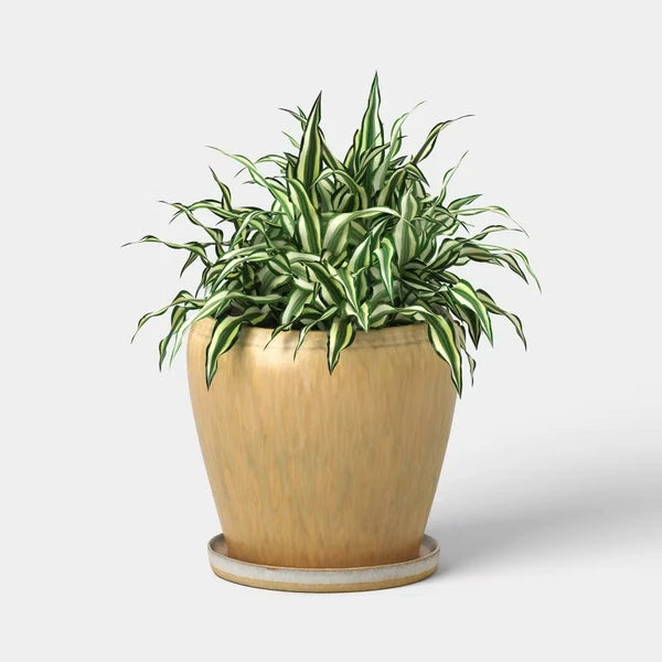 Close-up of the 6 inch round beige ceramic planter showing the mottled reactive glaze texture along the rim and exterior surf