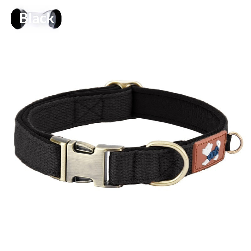 Padded dog collar with soft cushioned lining shown in close-up detail, ideal for everyday wear and comfort