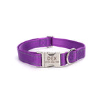 Adjustable nylon dog collar with reflective stitching shown flat on a white background